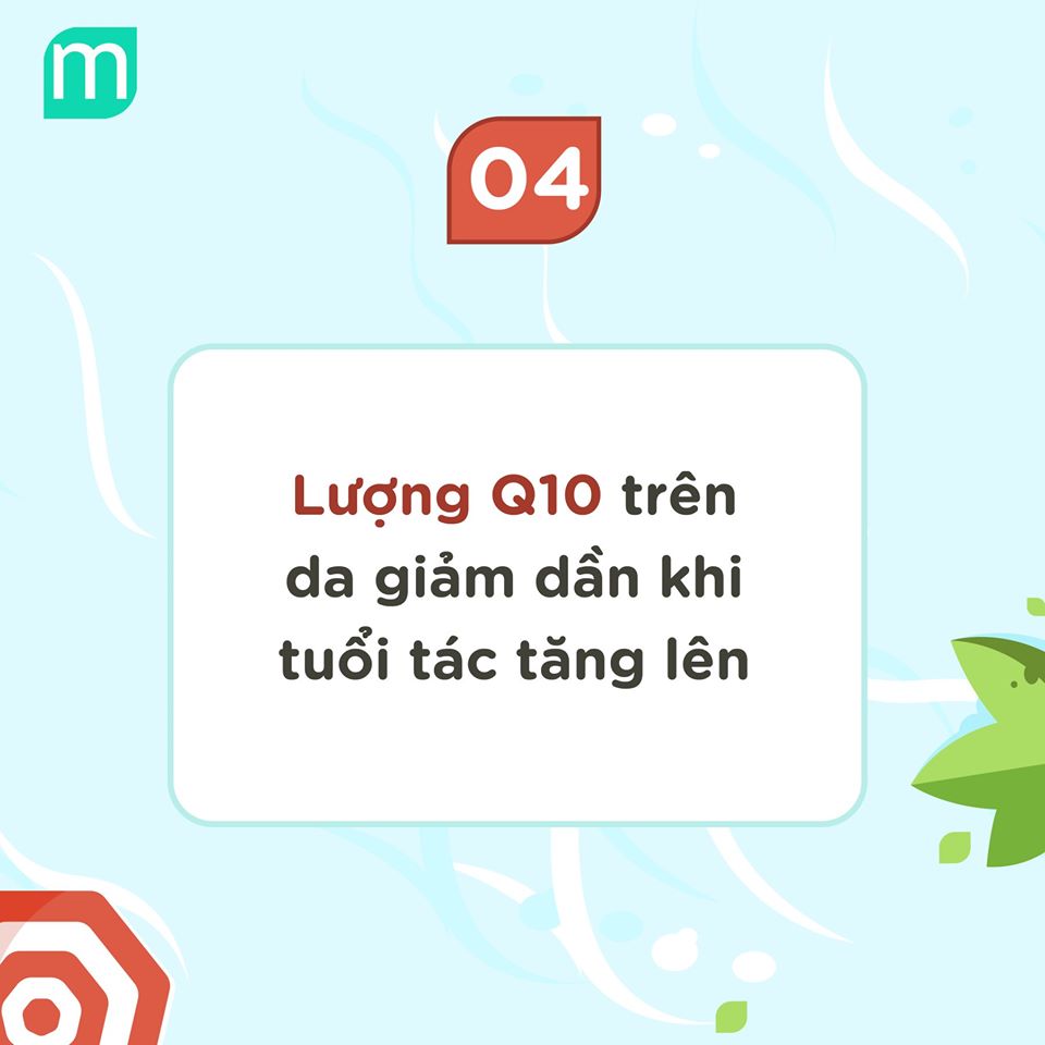 10-su-that-ve-co-enzyme-q10