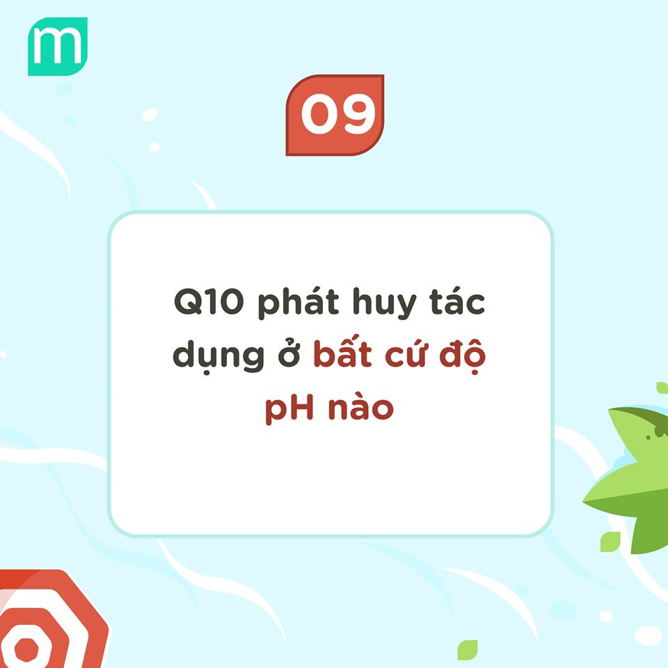 10-su-that-ve-co-enzyme-q10
