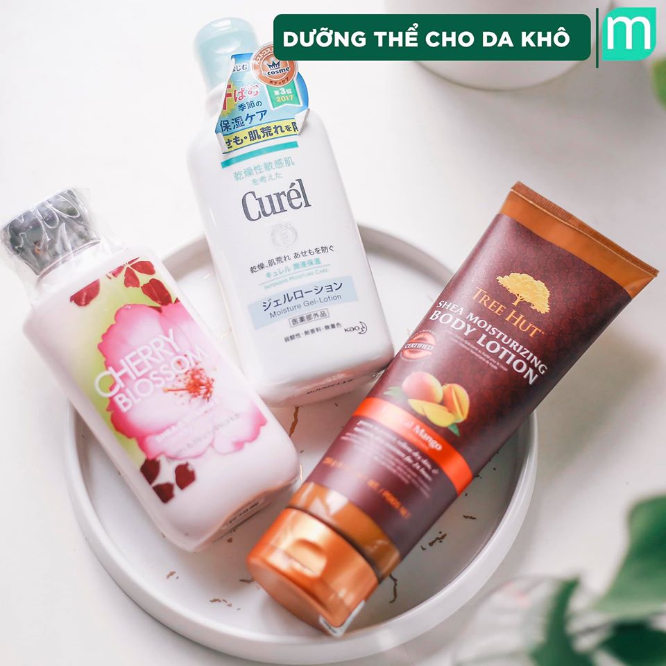 Tổng Hợp Các Loại Dưỡng Thể Tại Mint tong-hop-cac-loai-duong-the-tai-mint