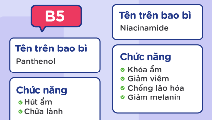 da-ban-dang-can-b5-hay-b3