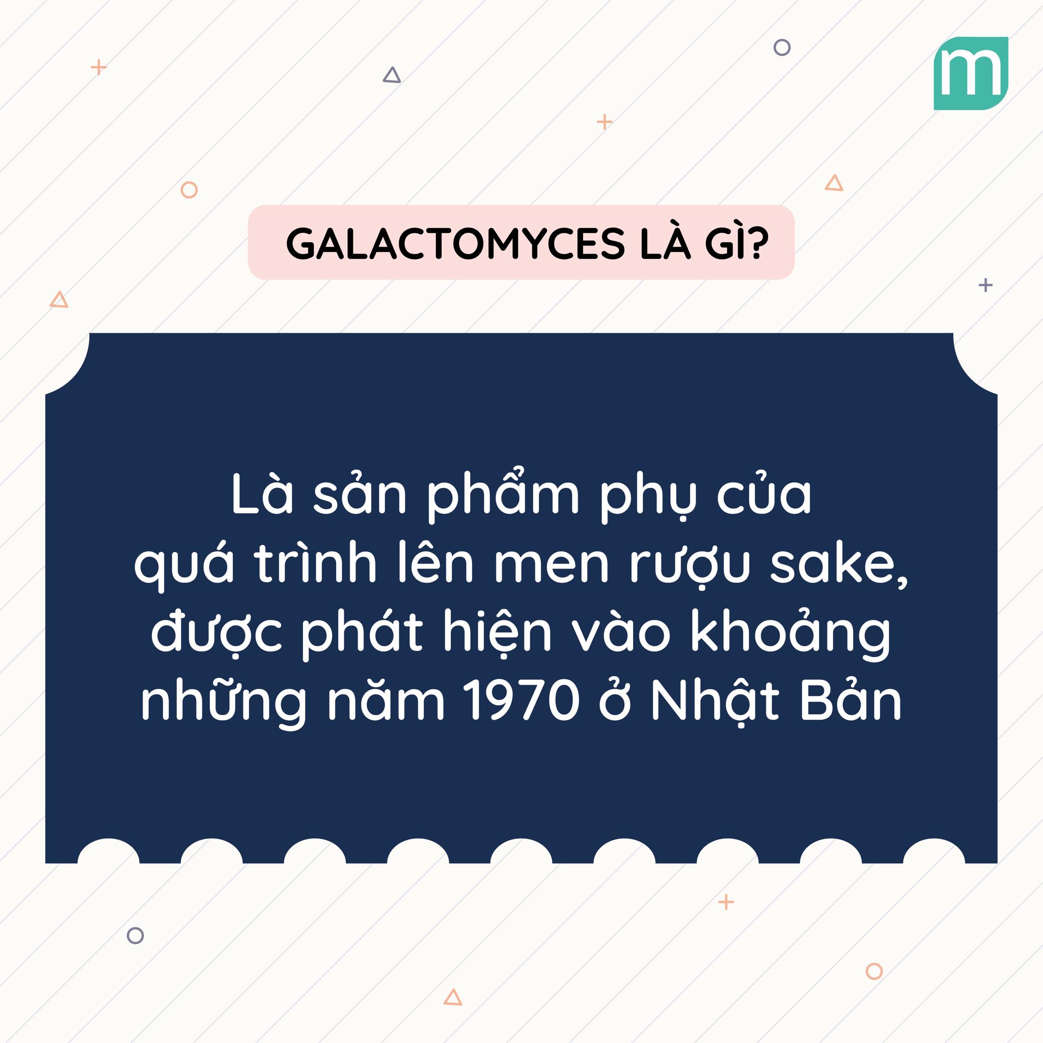 lam-sang-hieu-qua-va-lanh-tinh-voi-galactomyces