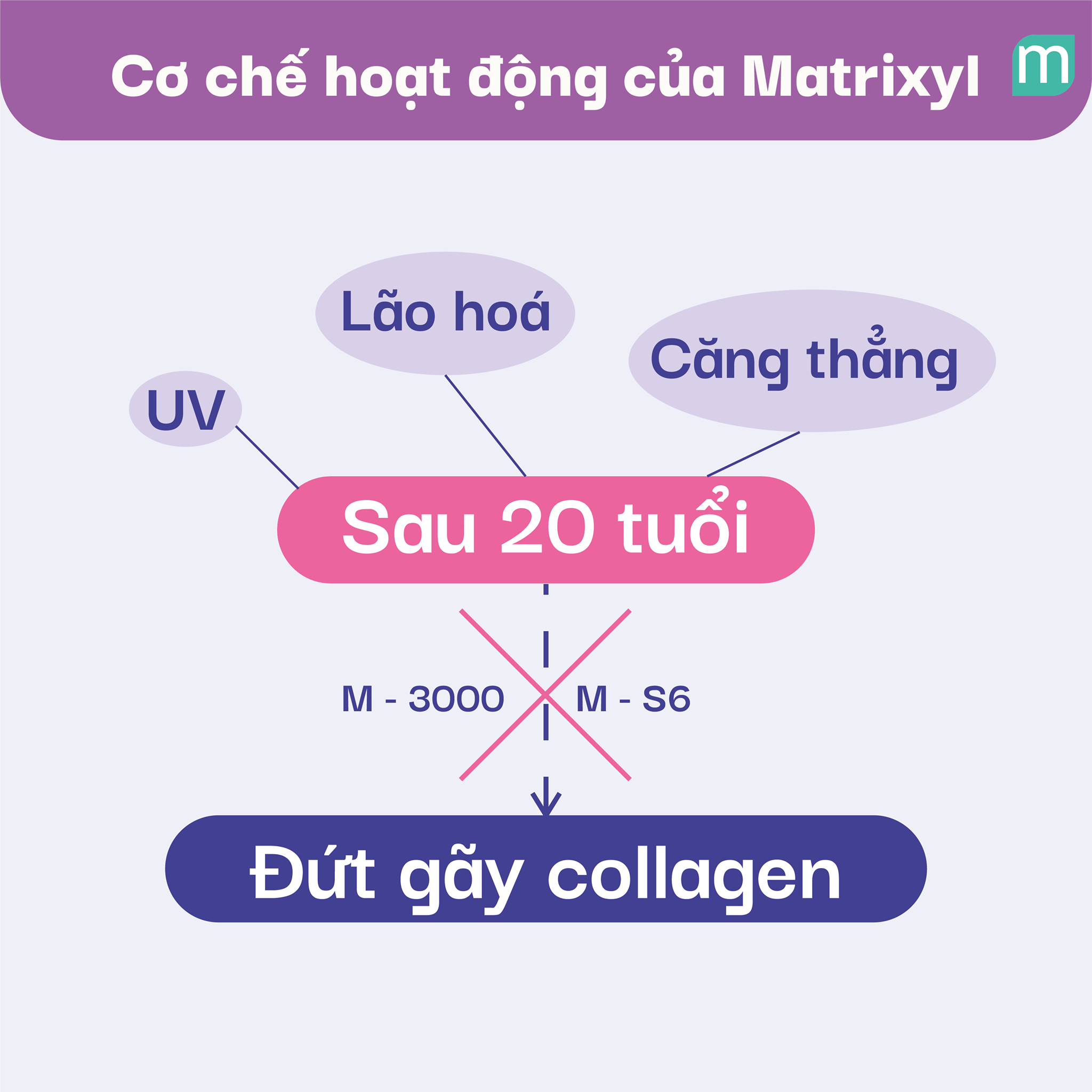 matrixyl-khac-tinh-cua-tinh-trang-lao-hoa