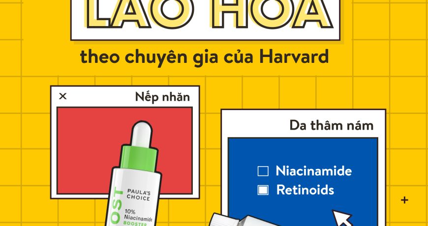Giải quyết mọi dấu hiệu lão hóa theo chuyên gia Harvard Giải quyết mọi dấu hiệu lão hóa theo chuyên gia Harvard