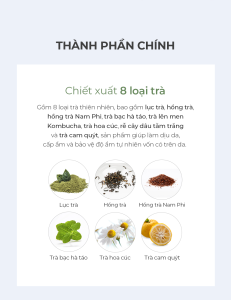 Kem Dưỡng Bom Eight Tea Water Capsule Cream 50G