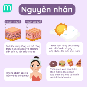 Dấu Hiệu Da Tiềm Ẩn Nguy Cơ Lão Hóa và Cách Xử Lý