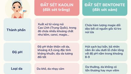 Chọn Mặt Nạ Đất Sét Cho Mỗi Làn Da