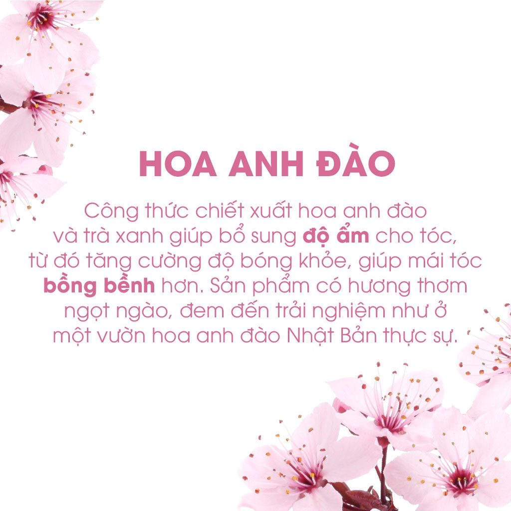 Bộ Gội Xả OGX Cherry Blossom 385ml