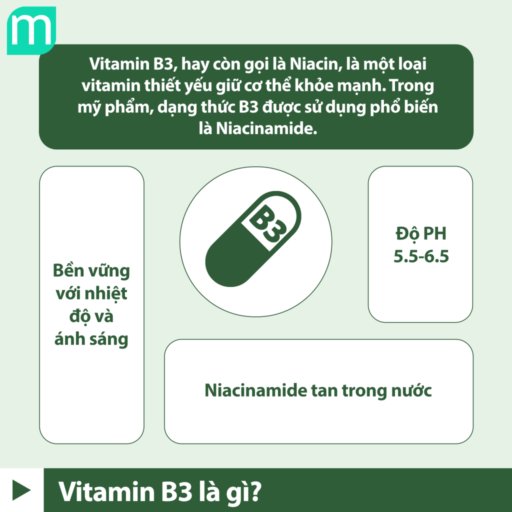 Tìm Hiểu Chuyên Sâu Vitamin B3