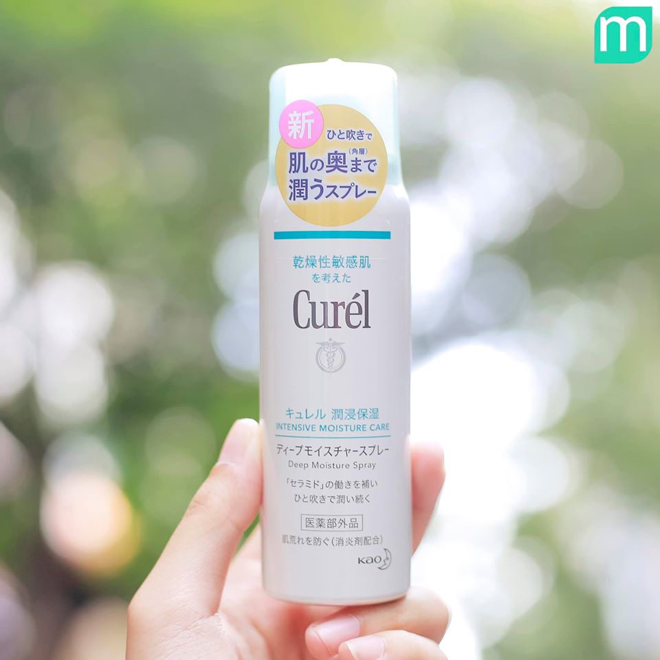 Giải Mã Sức Hút Nhà Curel