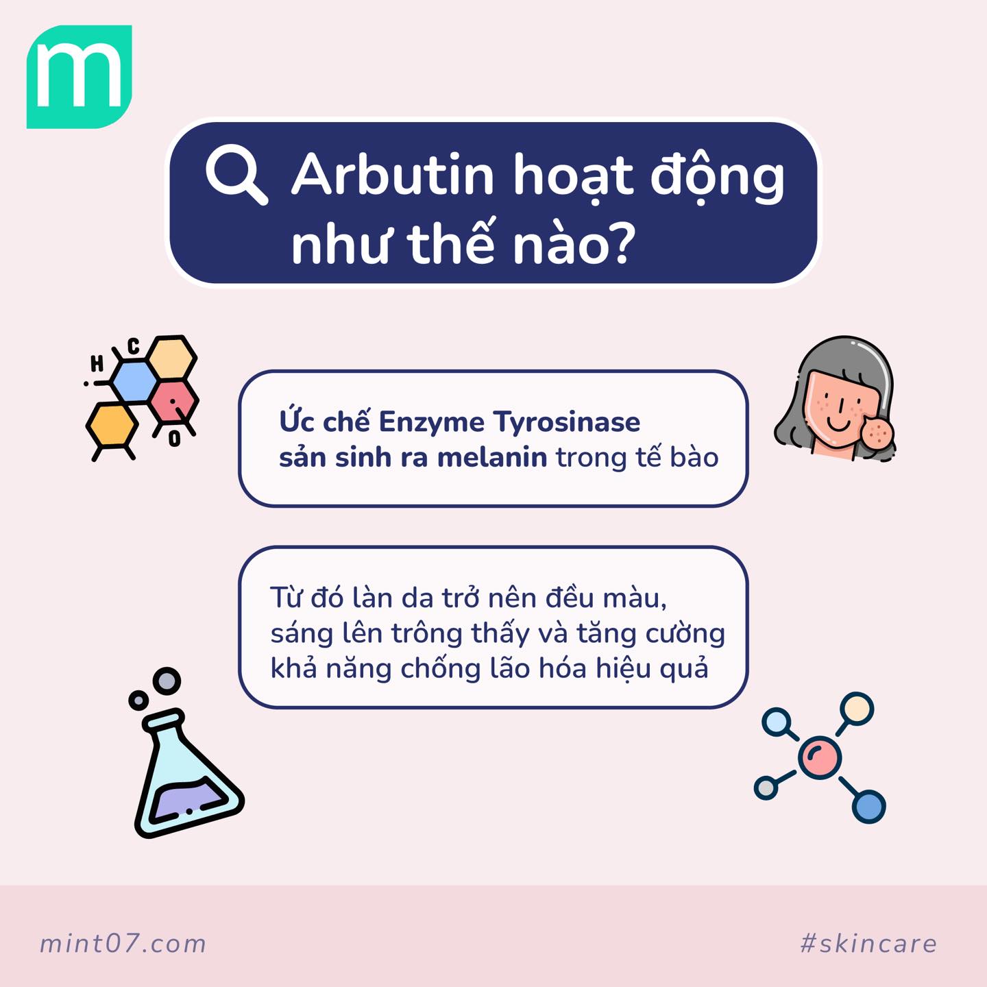 Mục Sở Thị Về Arbutin