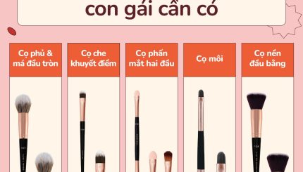 TOP 5 Cây Cọ Vacosi Cô Gái Nào Cũng Cần Có