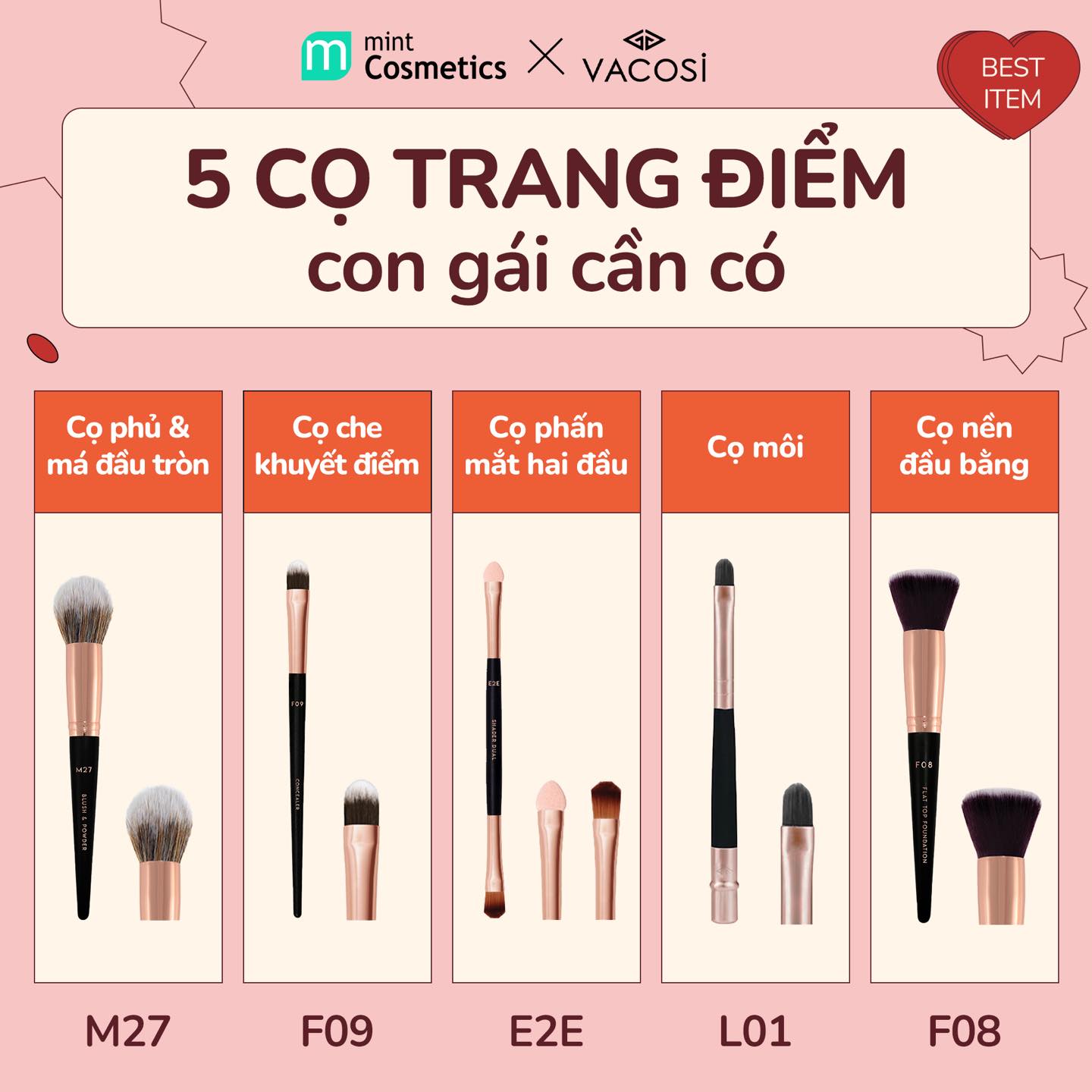 TOP 5 Cây Cọ Vacosi Cô Gái Nào Cũng Cần Có