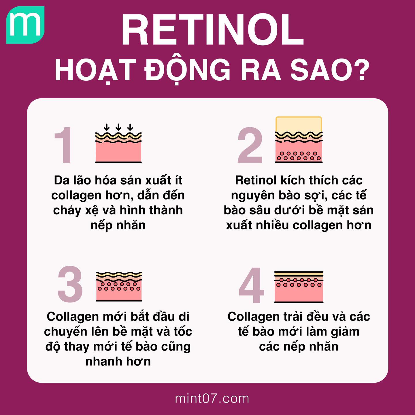 Retinol Hoạt Động Như Thế Nào???