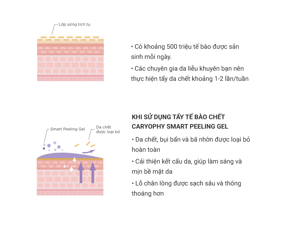 Tẩy Da Chết Caryophy Smart Peeling Gel 250ml Tẩy Da Chết Caryophy Smart Peeling Gel 250ml