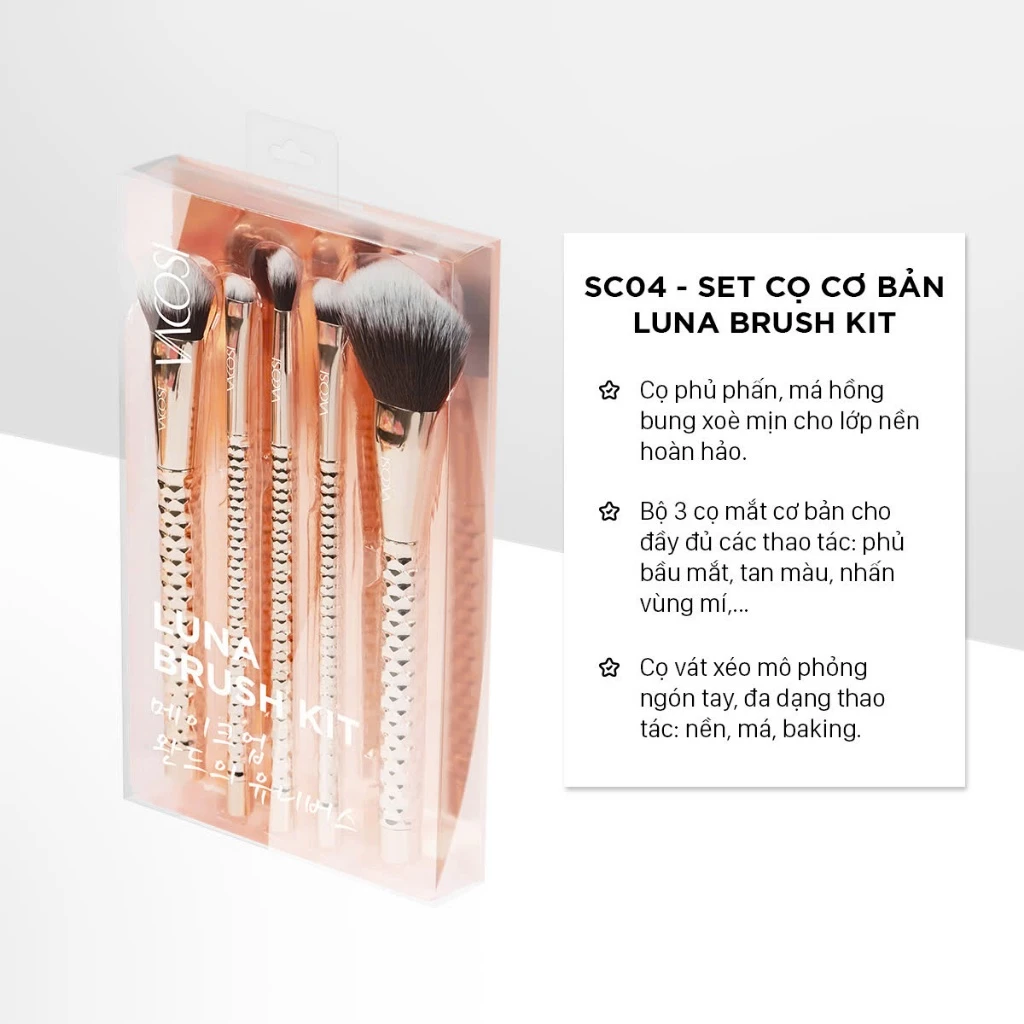 Bộ Kit 5 Cọ Cơ Bản Face & Eyes Vacosi - SC04 (Phiên Bản Golden Dragon) Bộ Kit 5 Cọ Cơ Bản Face & Eyes Vacosi - SC04 (Phiên Bản Golden Dragon)