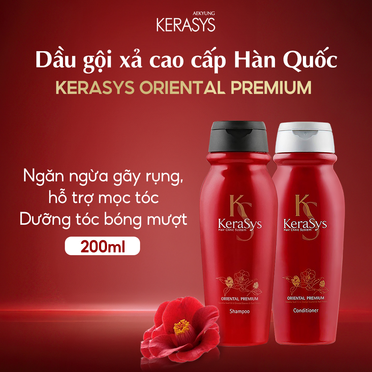SET QUÀ 8/3 – SET SUỐI MƠ SET QUÀ 8/3 – SET SUỐI MƠ