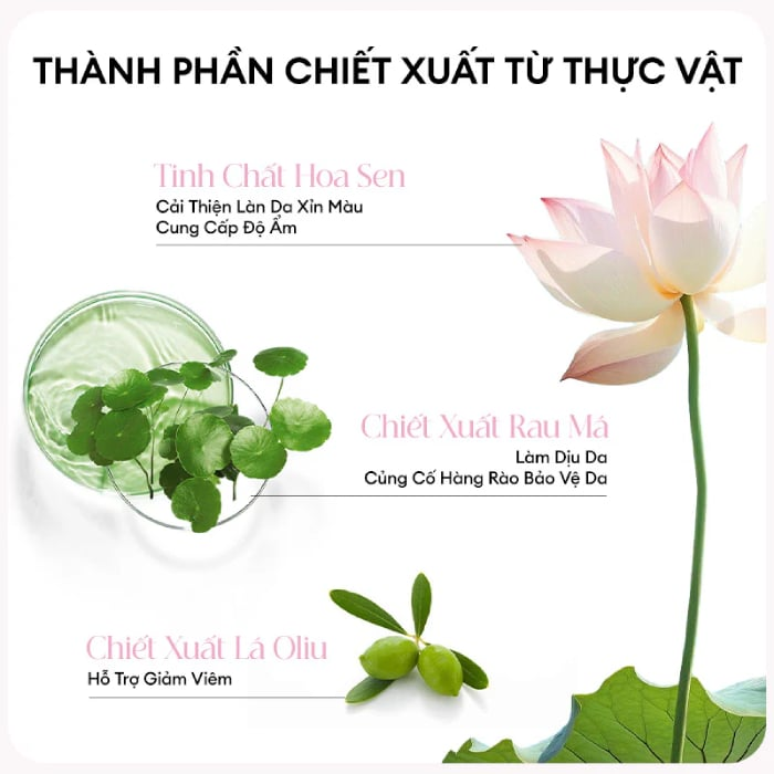 Sữa Rửa Mặt Colorkey Luminous Lotus Brightening Clay 100g