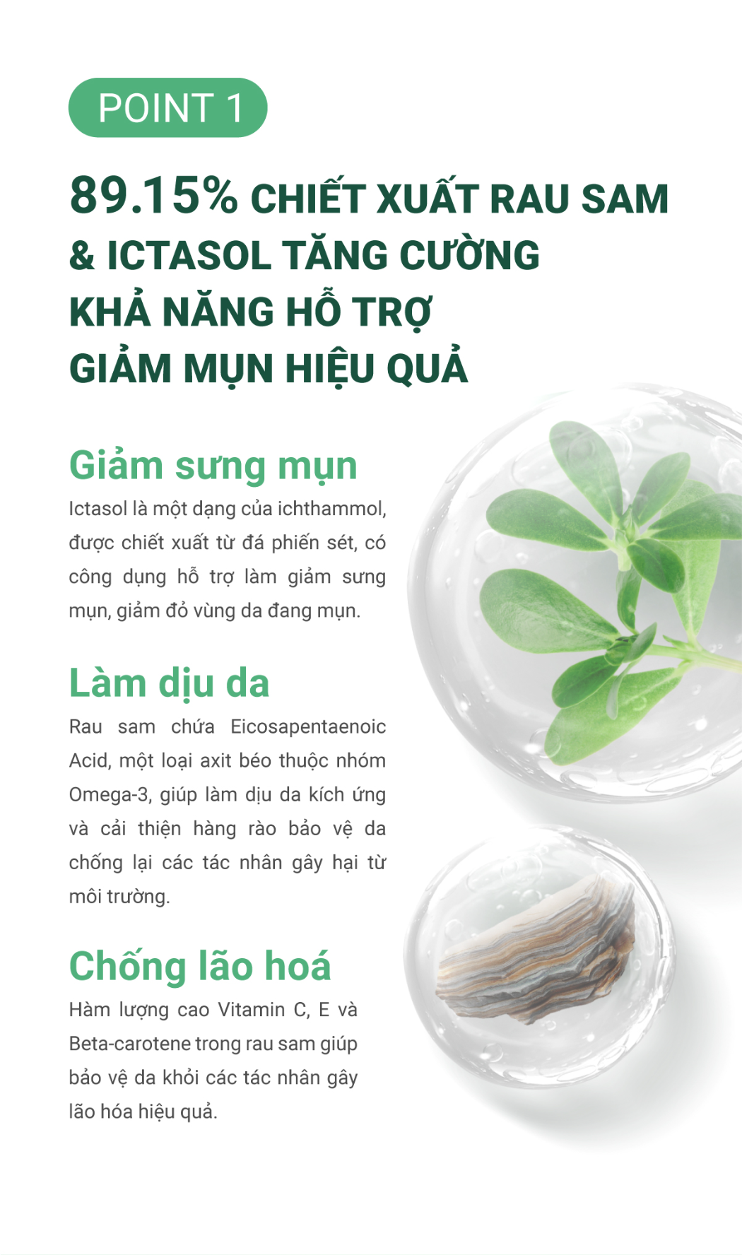 Serum Caryophy Portulaca 30ml Serum Caryophy Portulaca 30ml - Ảnh 8