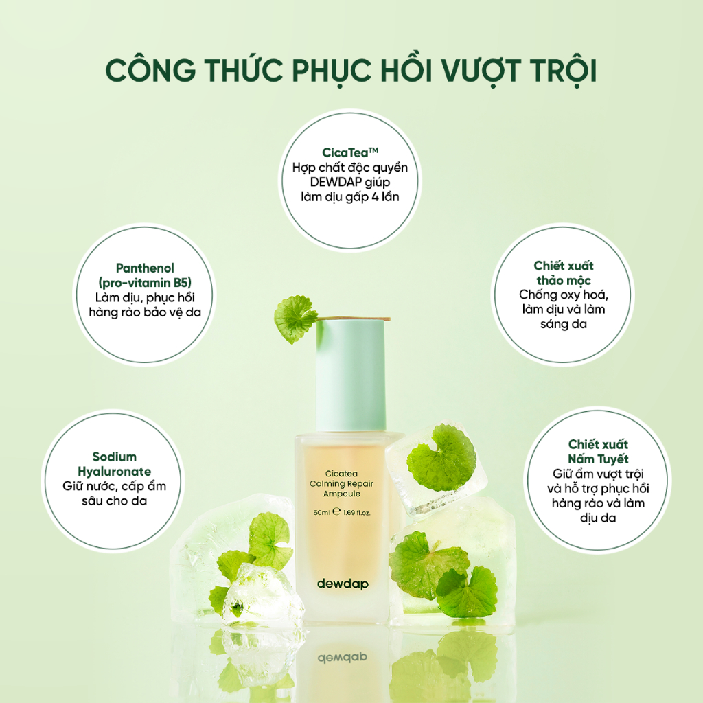 Tinh Chất Phục Hồi Và Làm Dịu Cho Da Mụn Nhạy Cảm DEWDAP Cicatea Calming Repair Ampoule 50ml Tinh Chất Phục Hồi Và Làm Dịu Cho Da Mụn Nhạy Cảm DEWDAP Cicatea Calming Repair Ampoule 50ml