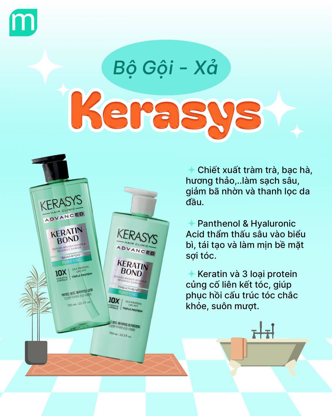 [Góc Mint's Pick] Các Loại Gội Xả Cho Tóc Dầu